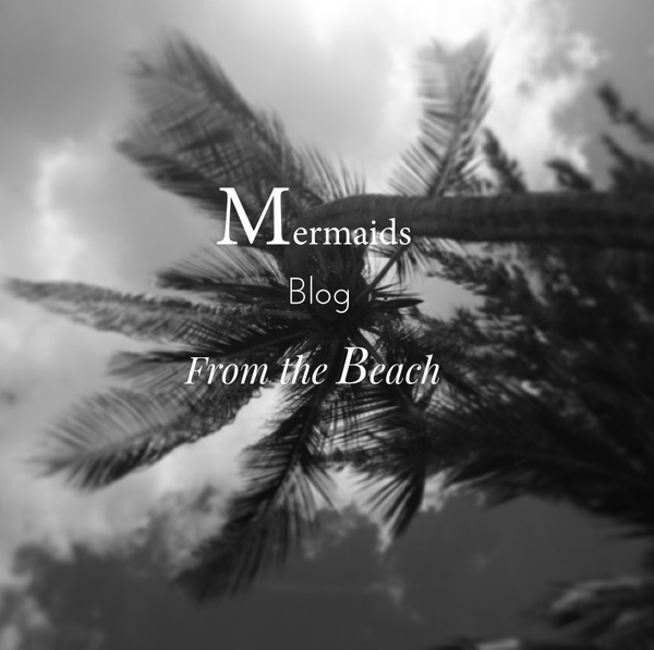 Sea Reinas blog launch!